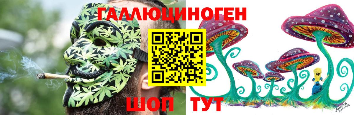 Свободный  Псилоцибиновые грибы Psilocybine cubensis  закладки  Вход с VPN  Псилоцибиновые грибы мицелий 